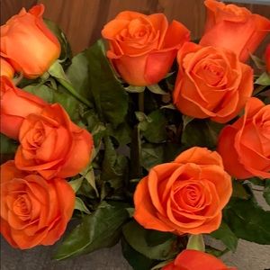 Meet your Posher, Clothes4sale456